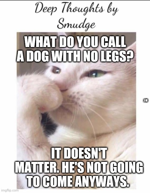 Smudge | WHAT DO YOU CALL A DOG WITH NO LEGS? J M; IT DOESN'T MATTER. HE'S NOT GOING TO COME ANYWAYS. | image tagged in smudge | made w/ Imgflip meme maker