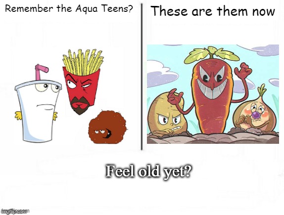 They grew up so fast that a few years passed. Carl won't torture them cause they are good... | Remember the Aqua Teens? These are them now; Feel old yet? | image tagged in feel old yet,vegetables,junk food,cuphead,athf,i know that feel bro | made w/ Imgflip meme maker