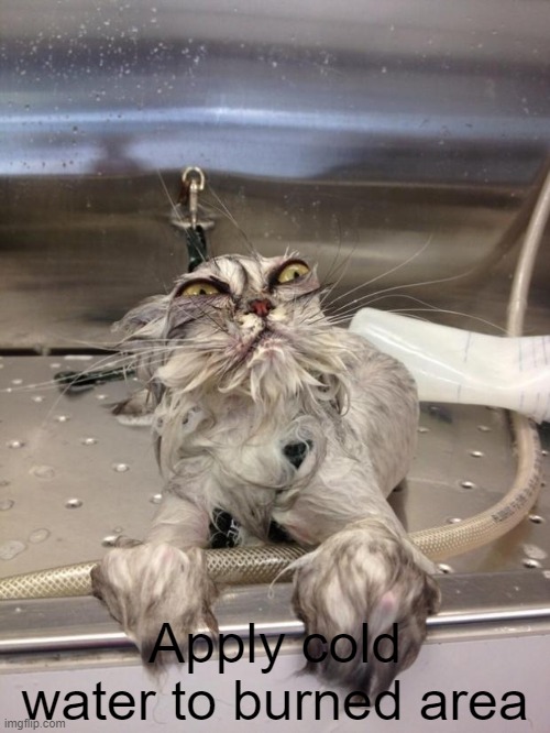 Angry Wet Cat | Apply cold water to burned area | image tagged in angry wet cat | made w/ Imgflip meme maker