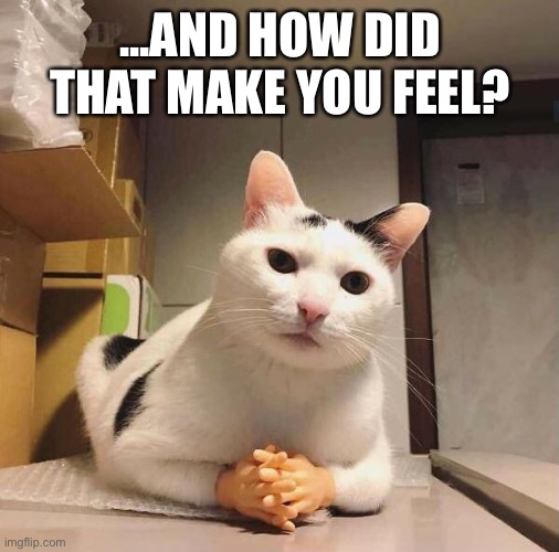 ...AND HOW DID THAT MAKE YOU FEEL? | made w/ Imgflip meme maker