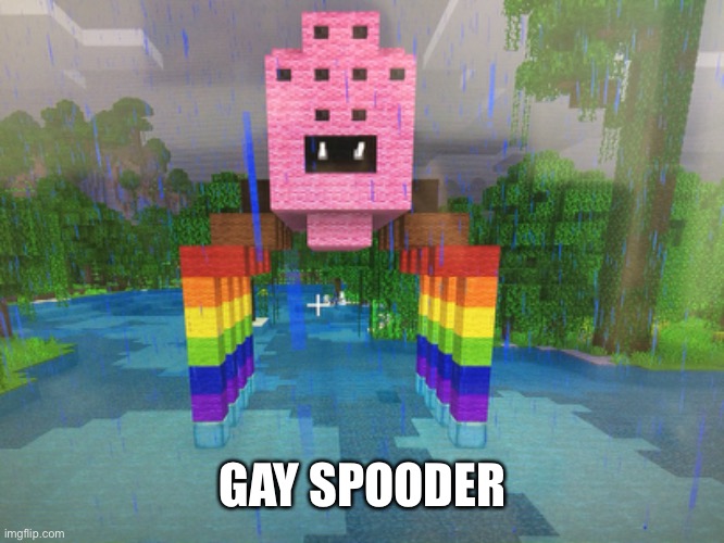 I know it sucks but I tried ;) | GAY SPOODER | image tagged in gay,spider,minecraft | made w/ Imgflip meme maker