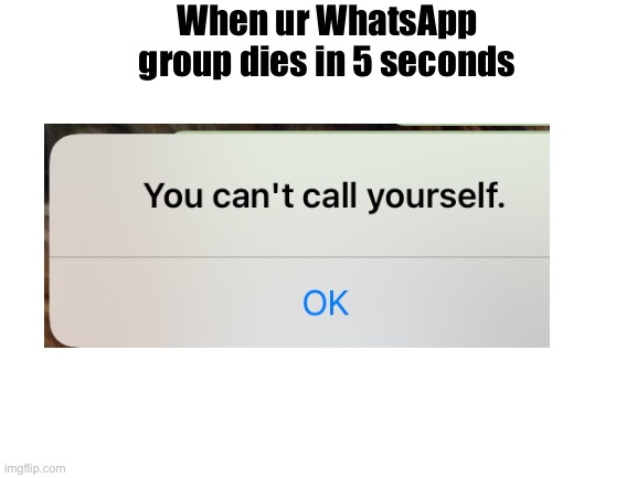 Bruh | When ur WhatsApp group dies in 5 seconds | image tagged in blank white template | made w/ Imgflip meme maker