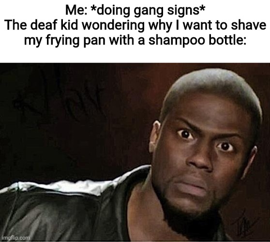 Kevin Hart Meme | Me: *doing gang signs*
The deaf kid wondering why I want to shave my frying pan with a shampoo bottle: | image tagged in memes,kevin hart | made w/ Imgflip meme maker