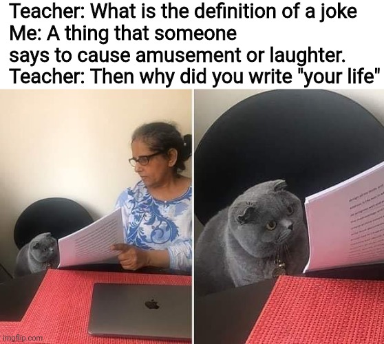 Got suspended for saying that (yes this is true, it happened before 2020) |  Teacher: What is the definition of a joke
Me: A thing that someone says to cause amusement or laughter.
Teacher: Then why did you write "your life" | image tagged in woman showing paper to cat | made w/ Imgflip meme maker
