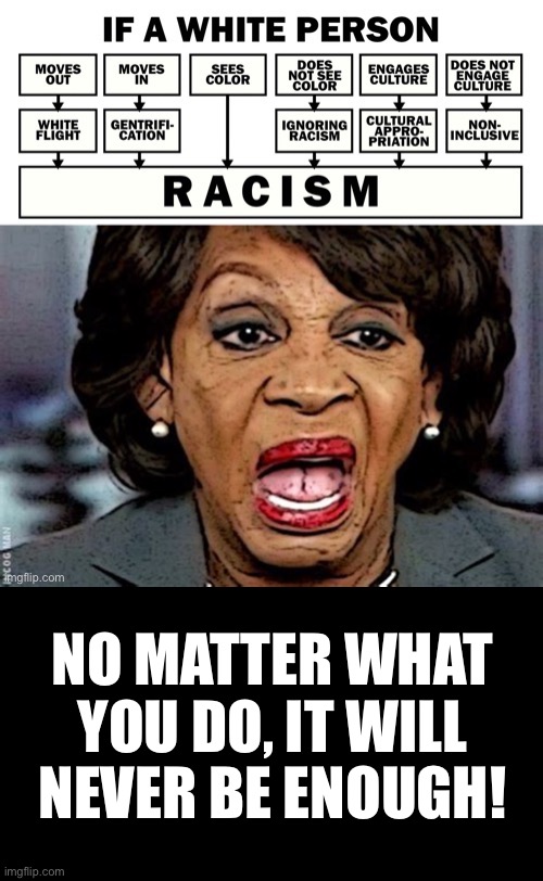 Maxine Waters is part of the problem... | NO MATTER WHAT YOU DO, IT WILL NEVER BE ENOUGH! | image tagged in permanent frown,whips up hatred,inciter of violence | made w/ Imgflip meme maker