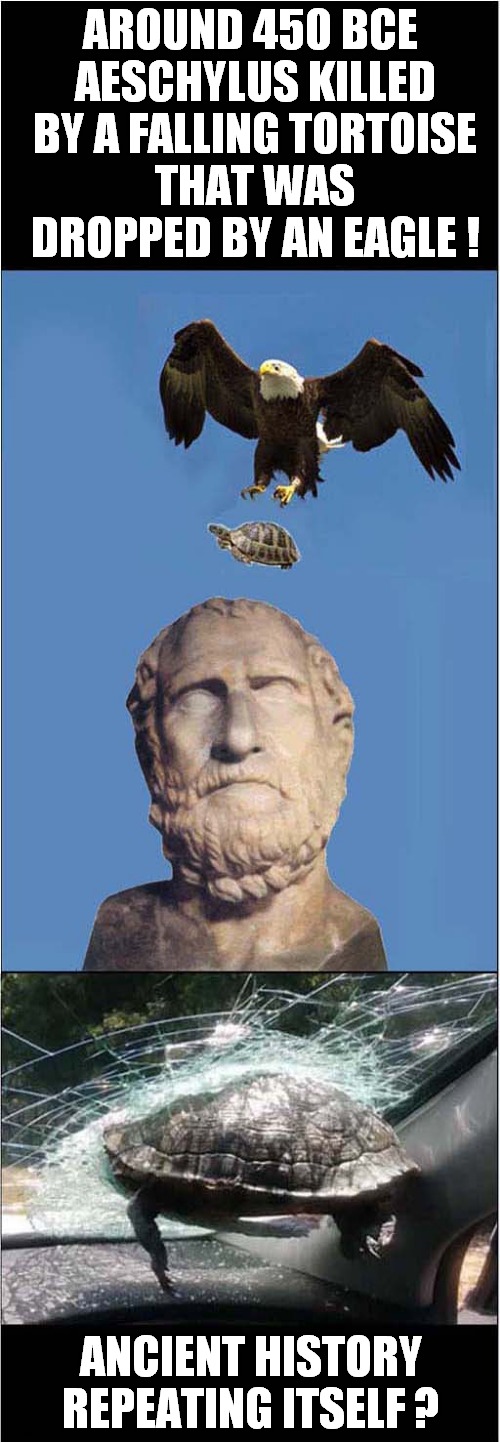Bad Luck Aeschylus ! | AROUND 450 BCE; AESCHYLUS KILLED BY A FALLING TORTOISE; THAT WAS DROPPED BY AN EAGLE ! ANCIENT HISTORY REPEATING ITSELF ? | image tagged in ancient,greeks,eagle,tortoise | made w/ Imgflip meme maker
