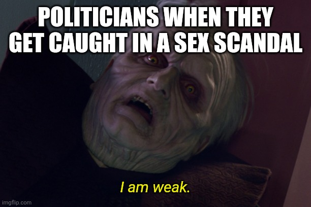 Palatine Please Don't | POLITICIANS WHEN THEY GET CAUGHT IN A SEX SCANDAL I am weak. | image tagged in palatine please don't | made w/ Imgflip meme maker