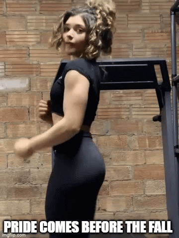 pride comes before the fall - Imgflip