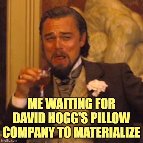 Laughing Leo Meme | ME WAITING FOR DAVID HOGG'S PILLOW COMPANY TO MATERIALIZE | image tagged in memes,laughing leo | made w/ Imgflip meme maker