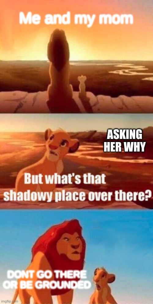 Why tho | Me and my mom; ASKING HER WHY; DONT GO THERE OR BE GROUNDED | image tagged in memes,simba shadowy place | made w/ Imgflip meme maker