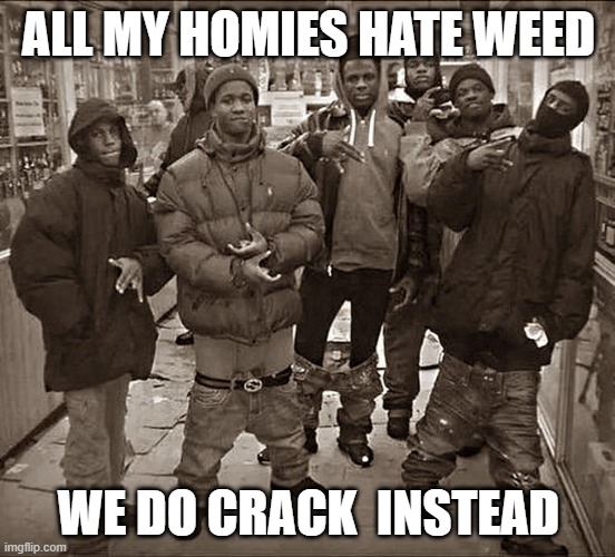 All My Homies Hate | ALL MY HOMIES HATE WEED; WE DO CRACK  INSTEAD | image tagged in all my homies hate | made w/ Imgflip meme maker