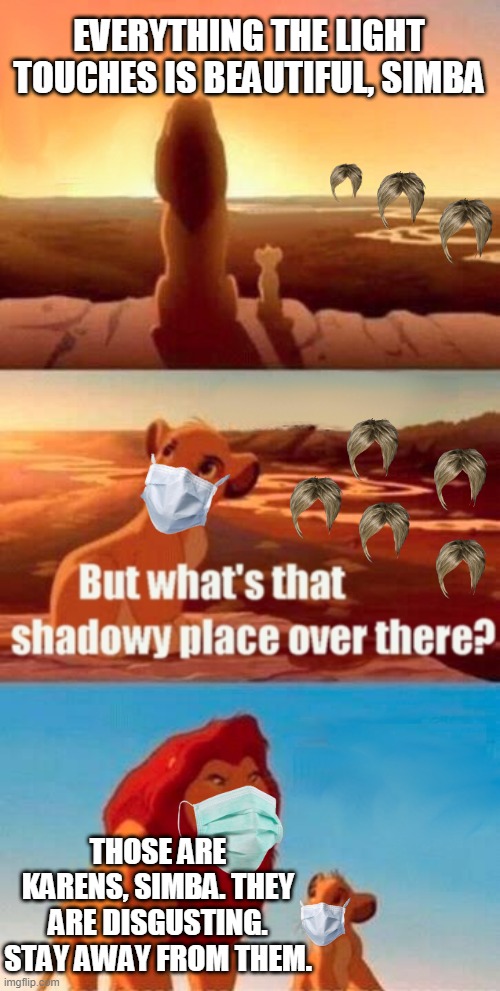 get swallowed in the darkness, karens! | EVERYTHING THE LIGHT TOUCHES IS BEAUTIFUL, SIMBA; THOSE ARE KARENS, SIMBA. THEY ARE DISGUSTING. STAY AWAY FROM THEM. | image tagged in memes,simba shadowy place | made w/ Imgflip meme maker