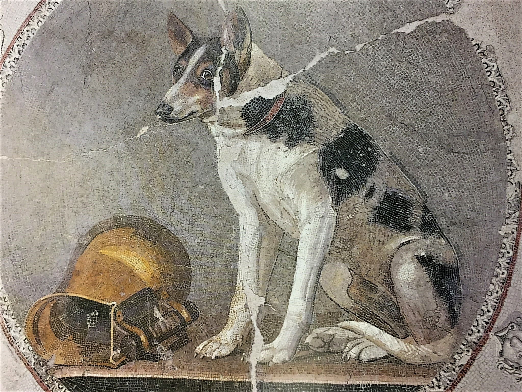 High Quality Roman dog with gold vessel Blank Meme Template