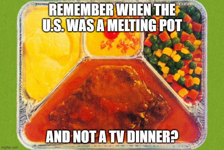 America TV Dinner | REMEMBER WHEN THE U.S. WAS A MELTING POT; AND NOT A TV DINNER? | image tagged in tv dinner | made w/ Imgflip meme maker