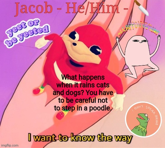 What happens when it rains cats and dogs? You have to be careful not to step in a poodle. | image tagged in jacob | made w/ Imgflip meme maker