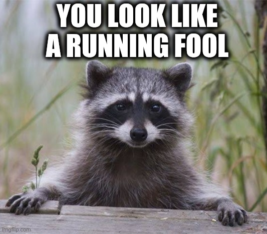 Racoon face | YOU LOOK LIKE A RUNNING FOOL | image tagged in racoon face | made w/ Imgflip meme maker