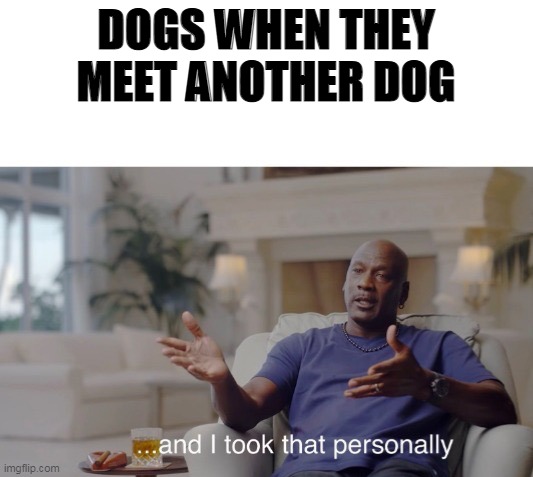 woof | DOGS WHEN THEY MEET ANOTHER DOG | image tagged in and i took that personally | made w/ Imgflip meme maker
