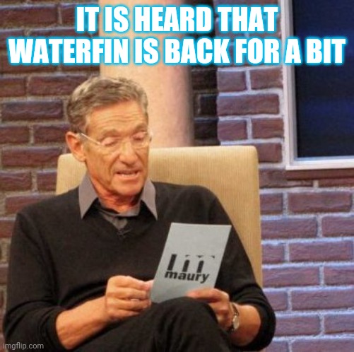 Maury Lie Detector | IT IS HEARD THAT WATERFIN IS BACK FOR A BIT | image tagged in memes,maury lie detector | made w/ Imgflip meme maker
