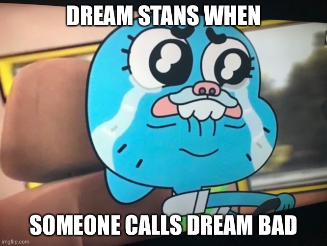 e | DREAM STANS WHEN; SOMEONE CALLS DREAM BAD | image tagged in e | made w/ Imgflip meme maker