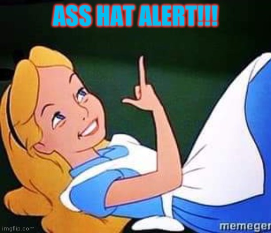 ASS HAT ALERT!!! | image tagged in funny | made w/ Imgflip meme maker