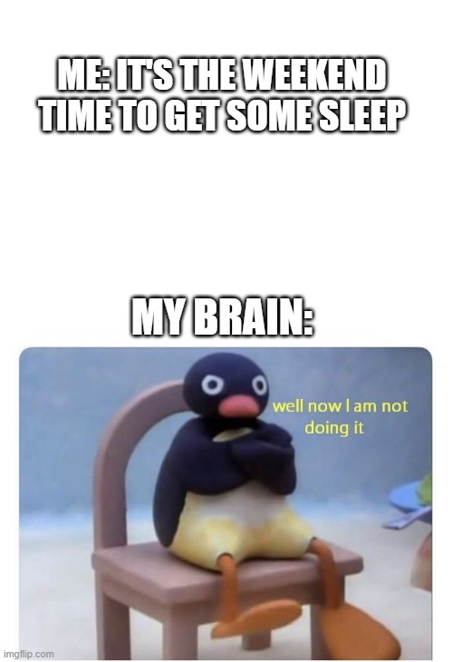 this always happens | ME: IT'S THE WEEKEND TIME TO GET SOME SLEEP; MY BRAIN: | image tagged in blank white template,well now i am not doing it | made w/ Imgflip meme maker