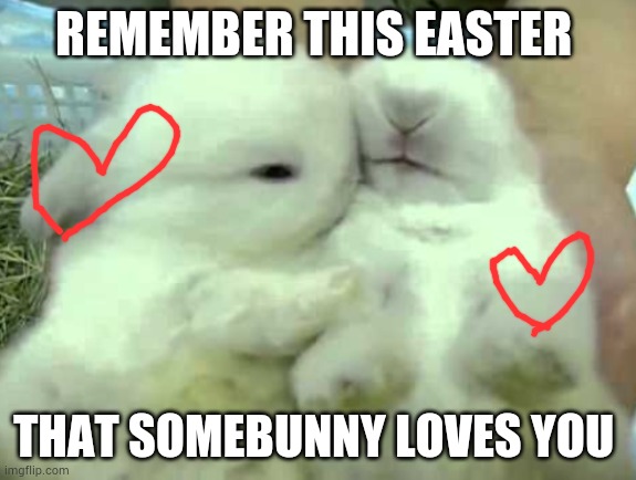 Somebunny loves you | REMEMBER THIS EASTER; THAT SOMEBUNNY LOVES YOU | image tagged in bunny,easter,love | made w/ Imgflip meme maker