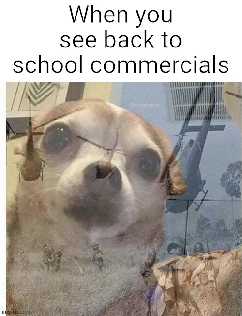 PTSD Chihuahua | When you see back to school commercials | image tagged in ptsd chihuahua | made w/ Imgflip meme maker