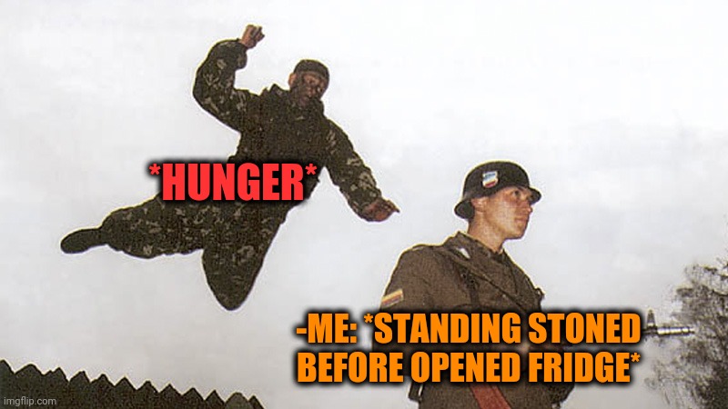-Avoiding much. | *HUNGER*; -ME: *STANDING STONED BEFORE OPENED FRIDGE* | image tagged in soldier jump spetznaz,happy hunger games,stoned guy,fridge,i have an army,too damn high | made w/ Imgflip meme maker