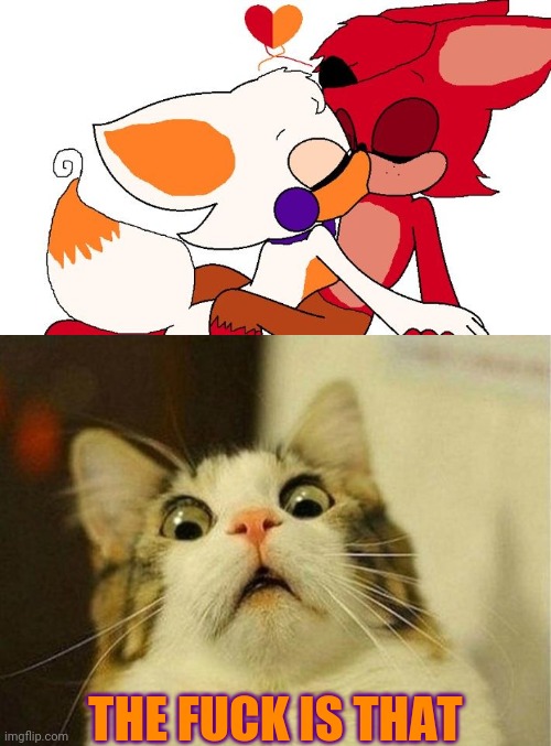 I might come around, maybe | THE FUCK IS THAT | image tagged in memes,scared cat | made w/ Imgflip meme maker