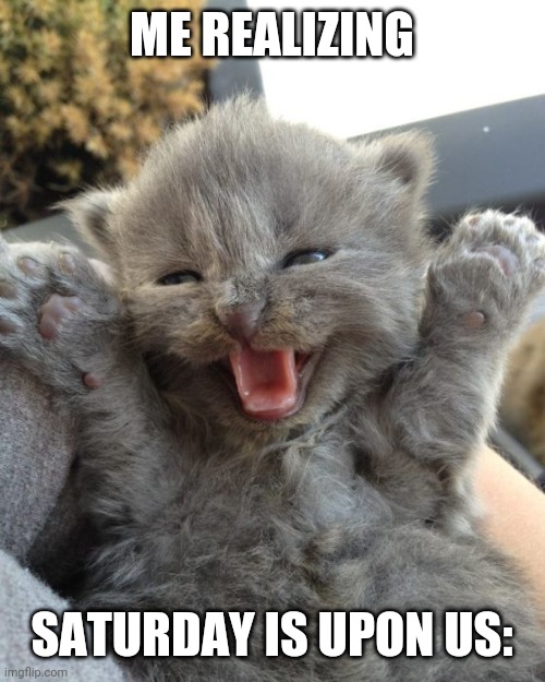 Lol | ME REALIZING; SATURDAY IS UPON US: | image tagged in yay kitty | made w/ Imgflip meme maker