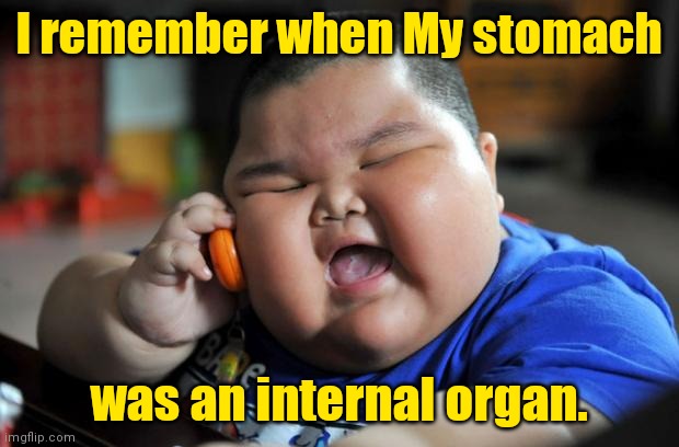 I remember. | I remember when My stomach; was an internal organ. | image tagged in fat asian kid,funny | made w/ Imgflip meme maker