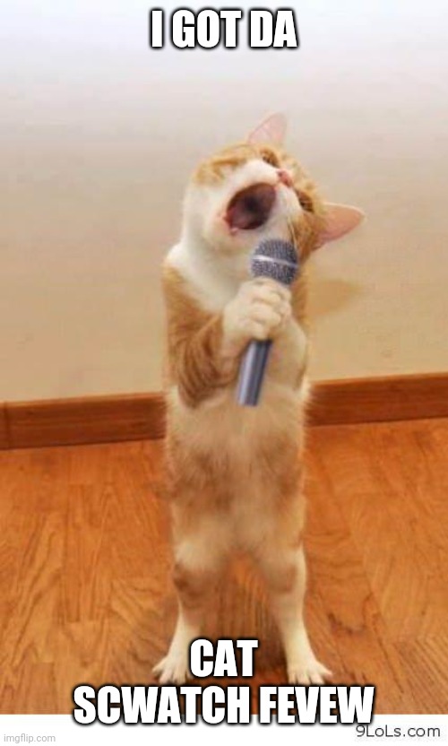 Cat Singer | I GOT DA; CAT SCWATCH FEVEW | image tagged in cat singer | made w/ Imgflip meme maker