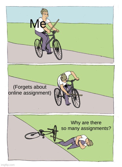 relatable | Me; (Forgets about online assignment); Why are there so many assignments? | image tagged in memes,bike fall,online school,homework,lazy | made w/ Imgflip meme maker