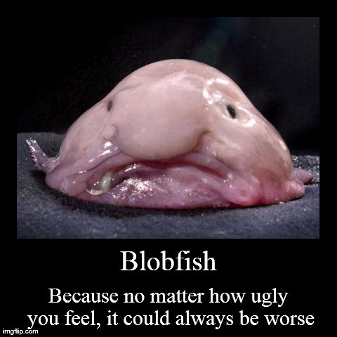 For When You Feel Depressed | image tagged in funny,demotivationals,blobfish,ugly | made w/ Imgflip demotivational maker