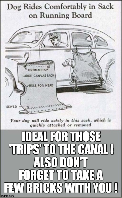 An Unwanted Dogs' Mystery Trip ? | IDEAL FOR THOSE 'TRIPS' TO THE CANAL ! ALSO DON'T FORGET TO TAKE A FEW BRICKS WITH YOU ! | image tagged in sack,dog,canal,drowning,dark humour | made w/ Imgflip meme maker