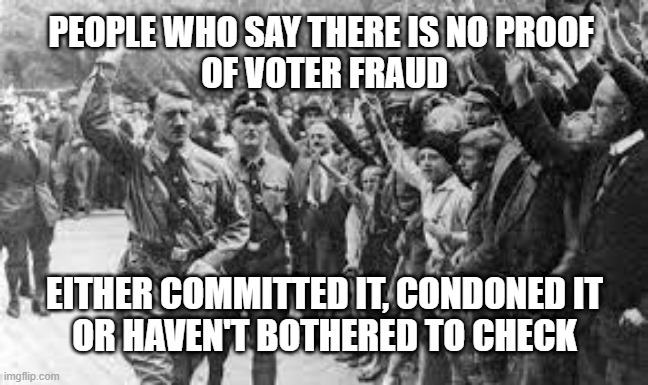 Voter Fraud - Like A Nazi | PEOPLE WHO SAY THERE IS NO PROOF 
OF VOTER FRAUD; EITHER COMMITTED IT, CONDONED IT
OR HAVEN'T BOTHERED TO CHECK | image tagged in nazi germany approves | made w/ Imgflip meme maker