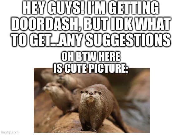 Halp | HEY GUYS! I’M GETTING DOORDASH, BUT IDK WHAT TO GET...ANY SUGGESTIONS; OH BTW HERE IS CUTE PICTURE: | image tagged in blank white template | made w/ Imgflip meme maker