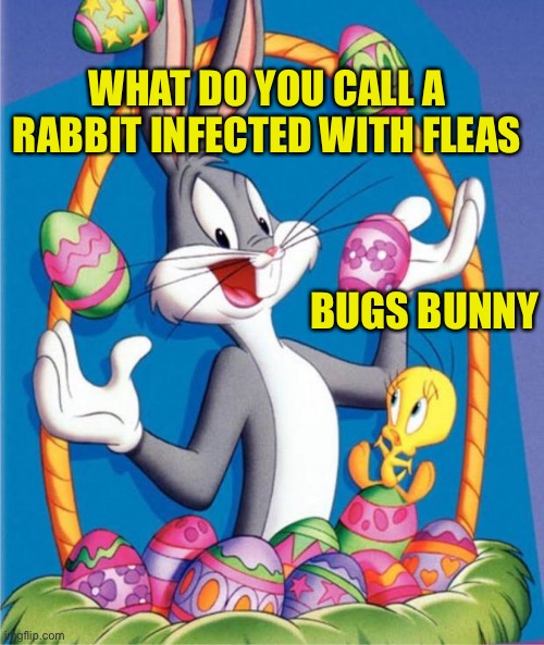 Easter Bugs Bunny | WHAT DO YOU CALL A RABBIT INFECTED WITH FLEAS; BUGS BUNNY | image tagged in eastern bugs bunny,easter,easter bunny,puns,bad puns | made w/ Imgflip meme maker
