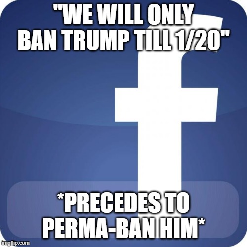 Donut lie | "WE WILL ONLY BAN TRUMP TILL 1/20"; *PRECEDES TO PERMA-BAN HIM* | image tagged in facebook,just to lighten the mood,trump | made w/ Imgflip meme maker