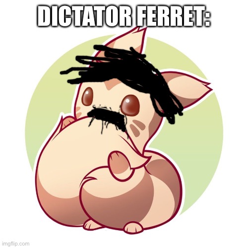 Cute ferret | DICTATOR FERRET: | image tagged in cute ferret | made w/ Imgflip meme maker