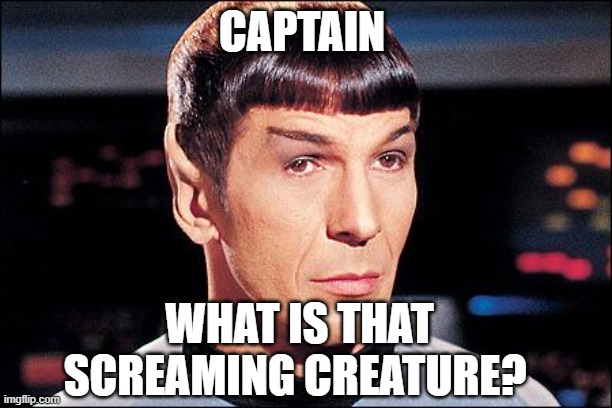 Condescending Spock | CAPTAIN WHAT IS THAT SCREAMING CREATURE? | image tagged in condescending spock | made w/ Imgflip meme maker