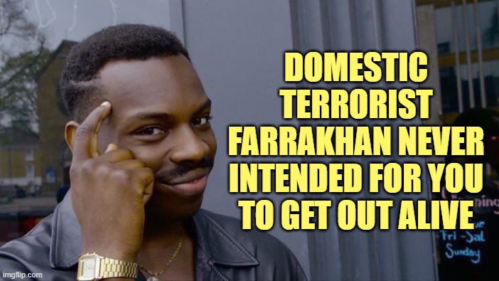 Roll Safe Think About It Meme | DOMESTIC TERRORIST FARRAKHAN NEVER INTENDED FOR YOU TO GET OUT ALIVE | image tagged in memes,roll safe think about it | made w/ Imgflip meme maker