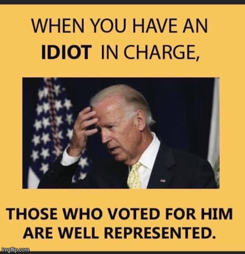 Biden is a moron | image tagged in stupid liberals | made w/ Imgflip meme maker