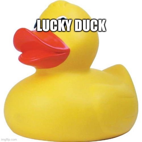 Rubber duck | LUCKY DUCK | image tagged in rubber duck | made w/ Imgflip meme maker
