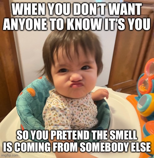 It wasn’t me | WHEN YOU DON’T WANT ANYONE TO KNOW IT’S YOU; SO YOU PRETEND THE SMELL IS COMING FROM SOMEBODY ELSE | image tagged in funny,babies,memes,funny memes,diapers,bad smell | made w/ Imgflip meme maker