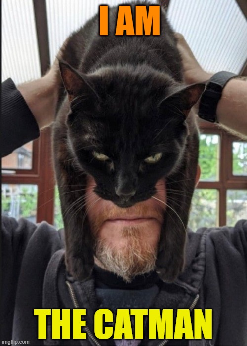 I AM; THE CATMAN | image tagged in cats,superheroes,surprised catman,batman,batman and robin,funny cats | made w/ Imgflip meme maker