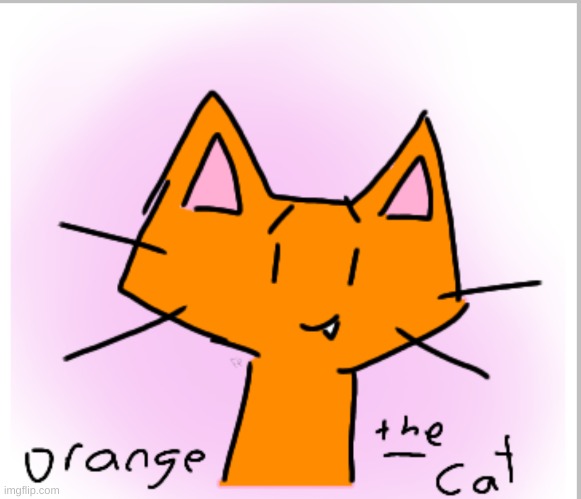 ask about orange!! :D | image tagged in orange,cat,ocs,drawing,orange the cat,character | made w/ Imgflip meme maker