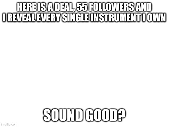 Blank White Template | HERE IS A DEAL, 55 FOLLOWERS AND I REVEAL EVERY SINGLE INSTRUMENT I OWN; SOUND GOOD? | image tagged in blank white template | made w/ Imgflip meme maker