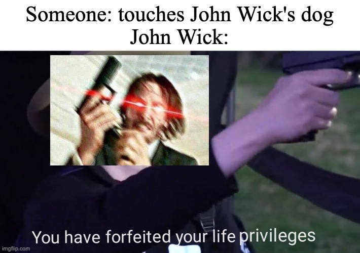 *angry John Wick noises* | Someone: touches John Wick's dog
John Wick: | image tagged in you have forfeited your life privileges,john wick,triggered john wick | made w/ Imgflip meme maker