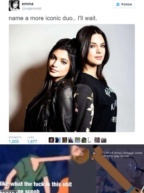 image tagged in name a more iconic duo,like what the f ck is this sh t above me scoob,i dont know shaggy looks pretty gay to me | made w/ Imgflip meme maker